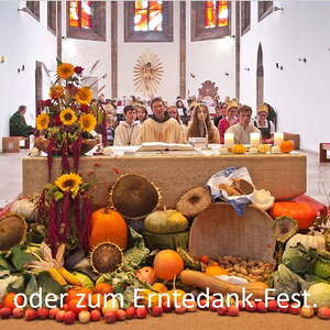 9 Jahre P. Martin in Enns