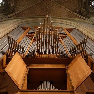 Besuch im Mariendom