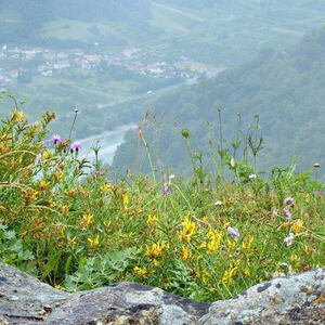 Betriebsausflug